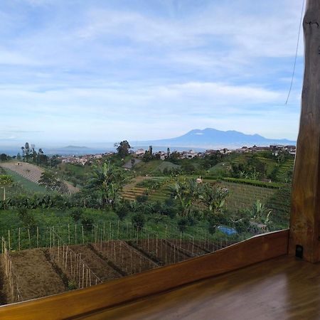 Maison Manendra - Bromo Malang Dış mekan fotoğraf