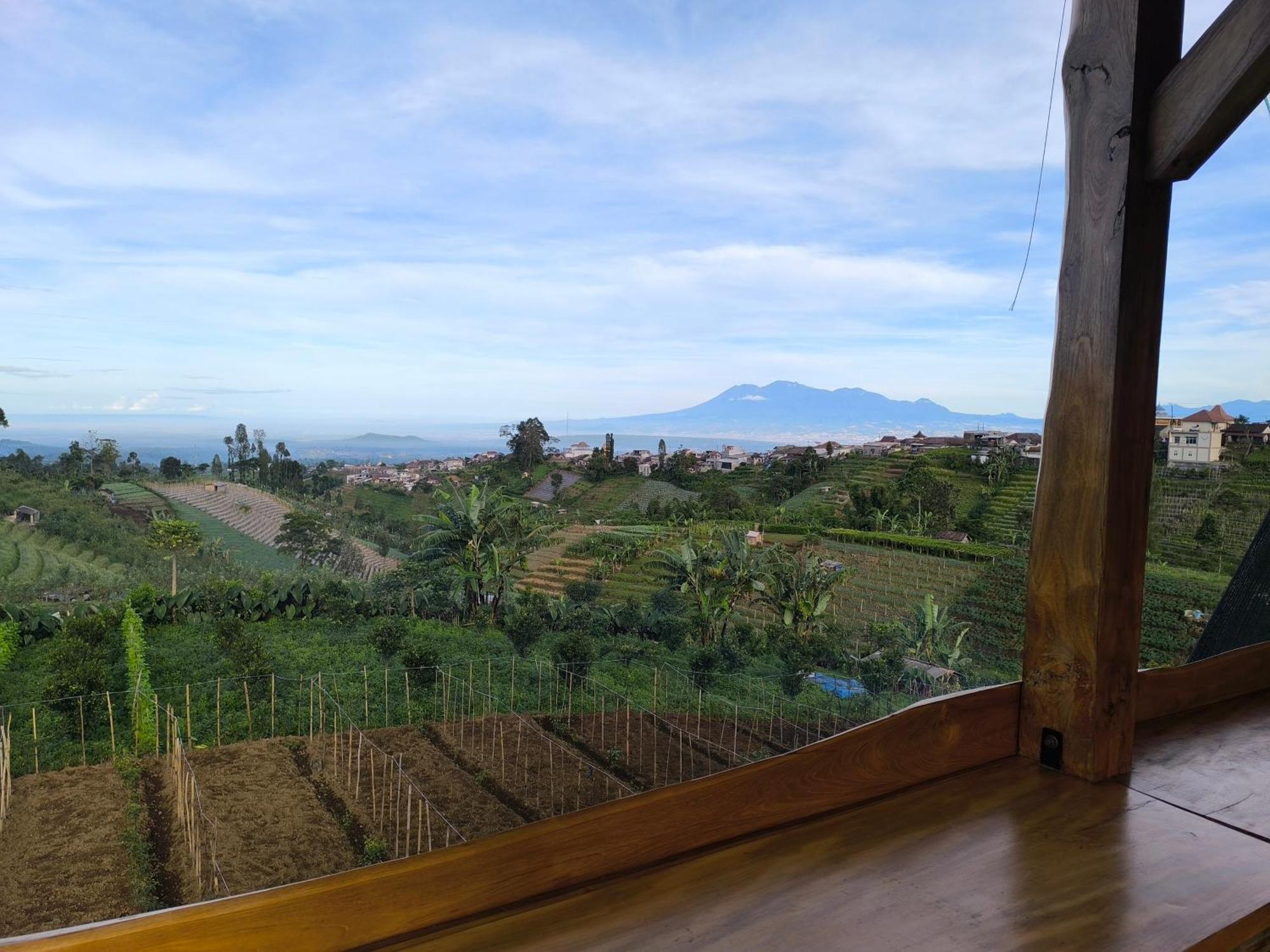 Maison Manendra - Bromo Malang Dış mekan fotoğraf