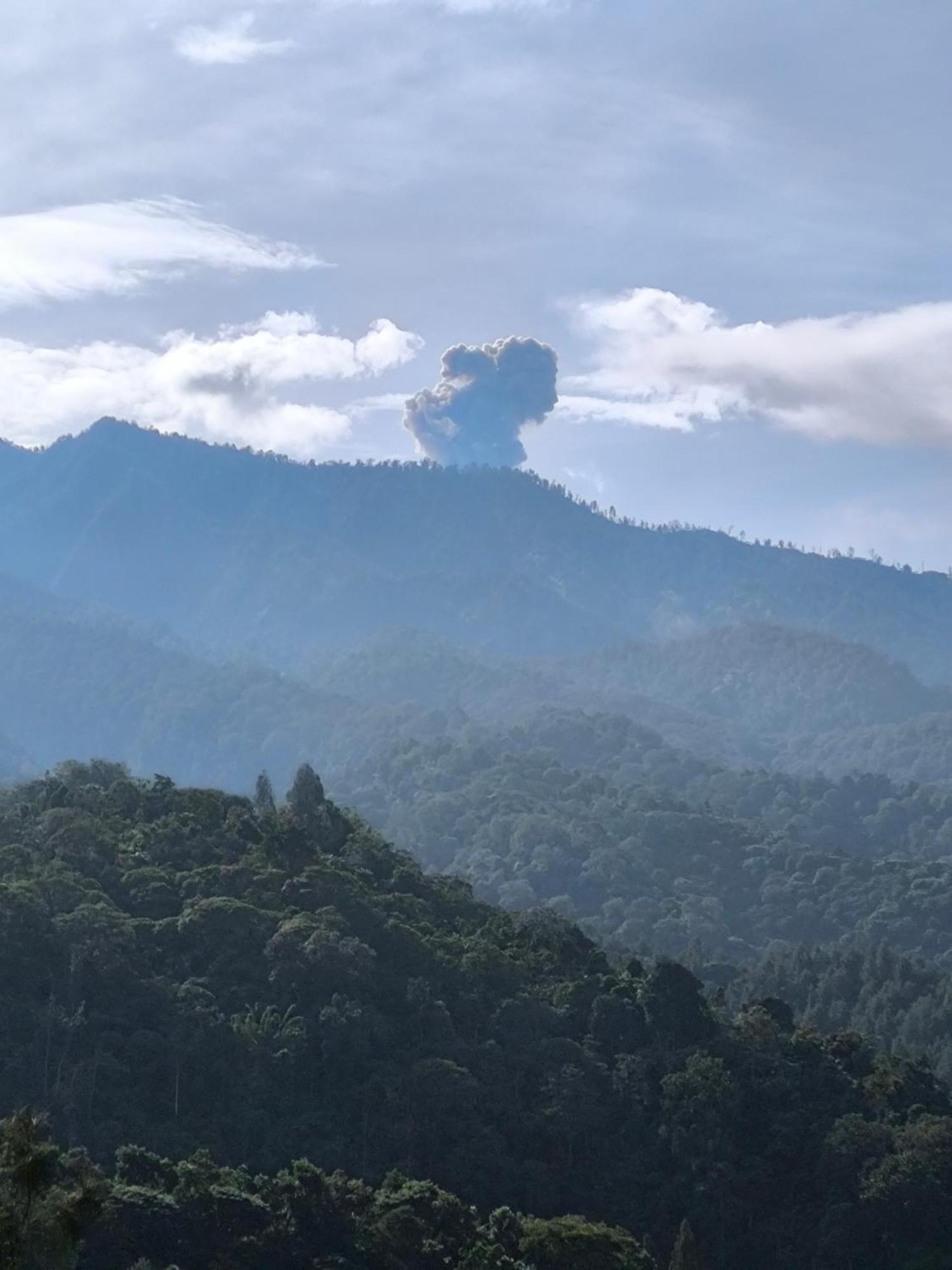 Maison Manendra - Bromo Malang Dış mekan fotoğraf